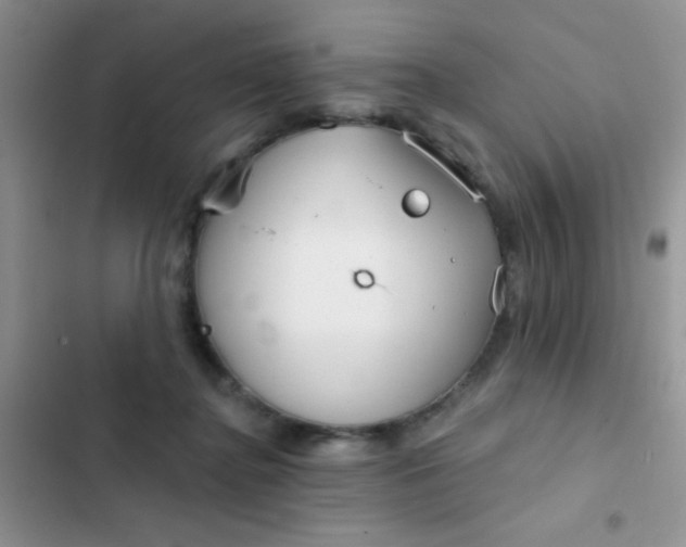 X0000102530364200808221910