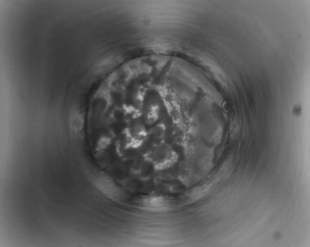 X0000102530365200808221910