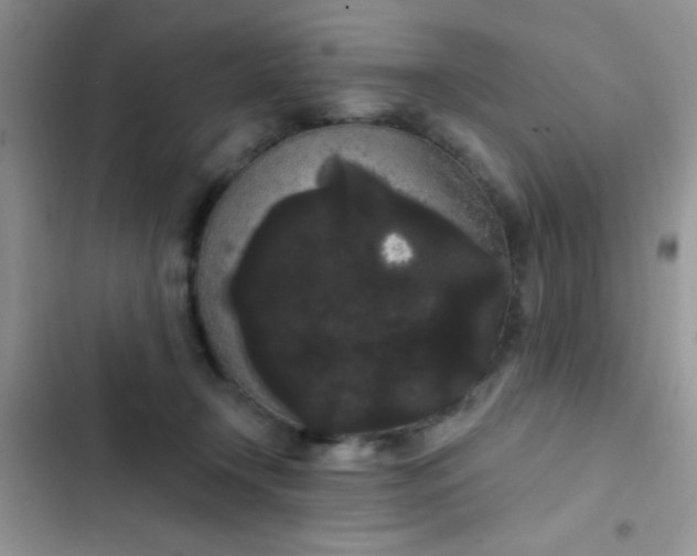 X0000102530366200808221910