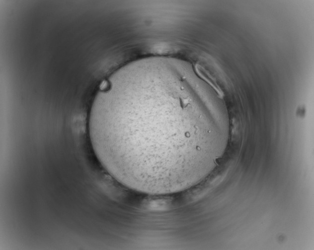 X0000102530368200808221911