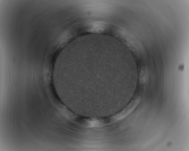 X0000102530370200808221911