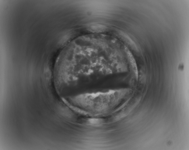 X0000102530371200808221911