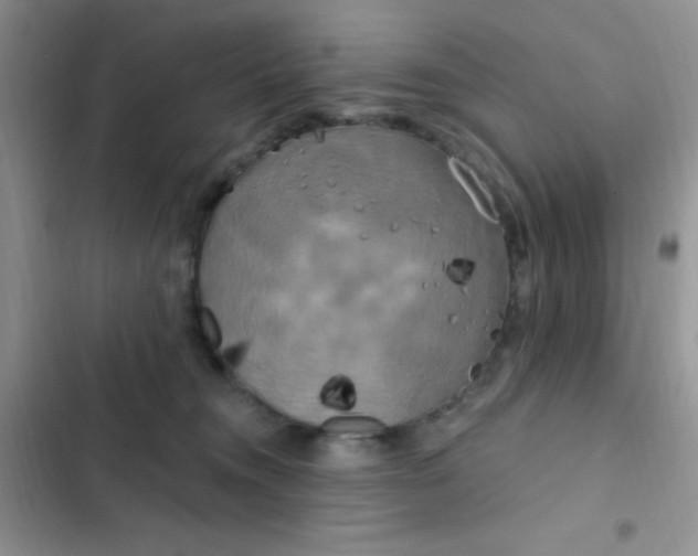 X0000102530372200808221911