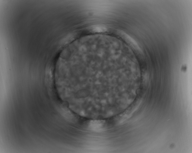 X0000102530373200808221911