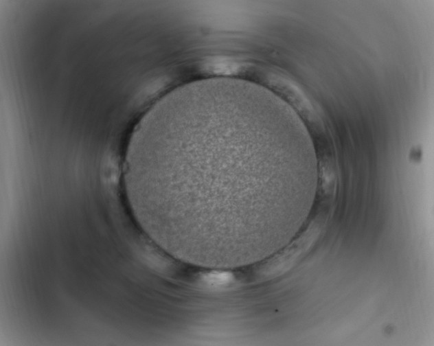 X0000102530374200808221911