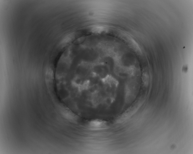 X0000102530375200808221911