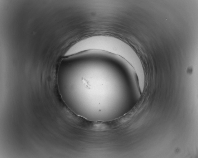 X0000102530376200808221911