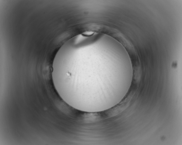 X0000102530378200808221911