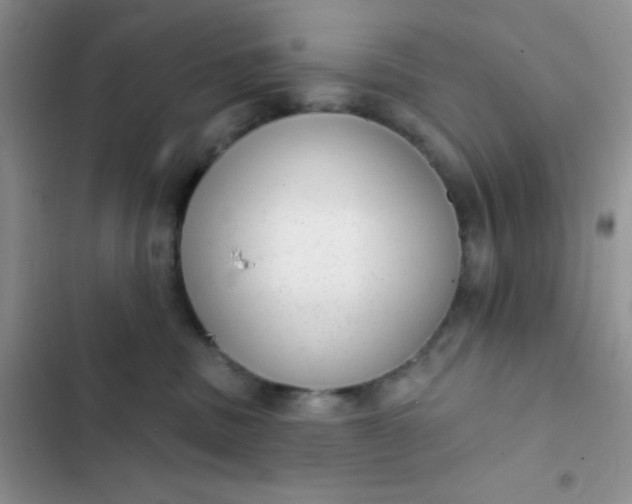 X0000102530379200808221911