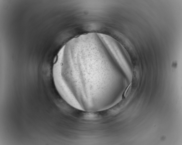 X0000102530380200808221911