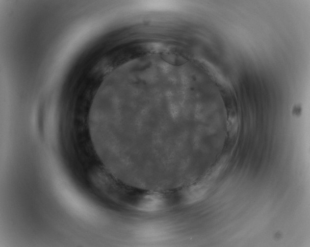 X0000102530381200808221911