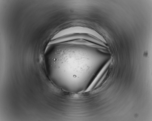 X0000102530382200808221911