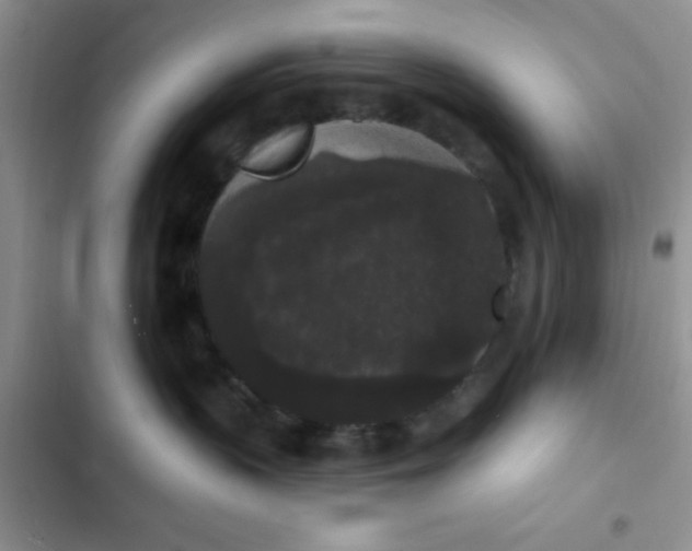 X0000102530383200808221911