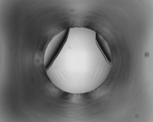 X0000102530384200808221911