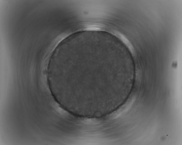 X0000102530385200808221910