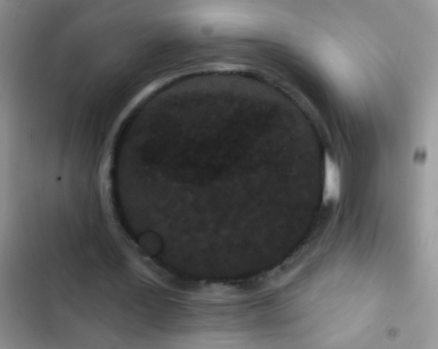 X0000102530387200808221910