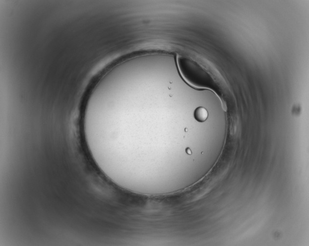 X0000102530388200808221910