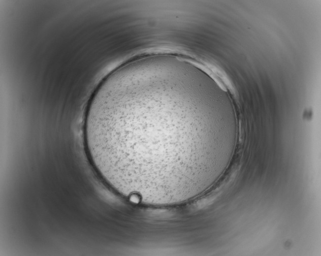 X0000102530389200808221910