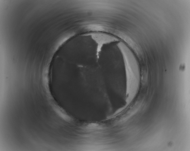 X0000102530390200808221910