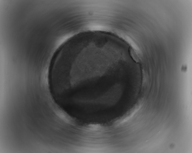 X0000102530391200808221910