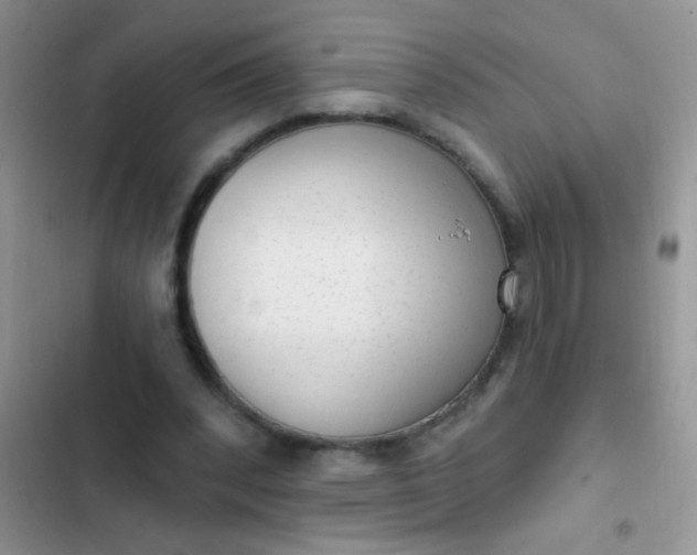 X0000102530392200808221910