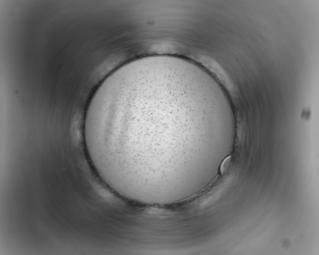 X0000102530393200808221910