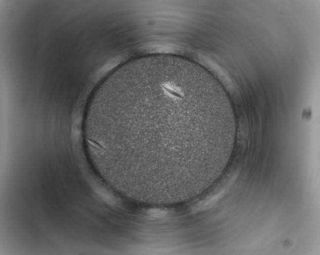 X0000102530394200808221910