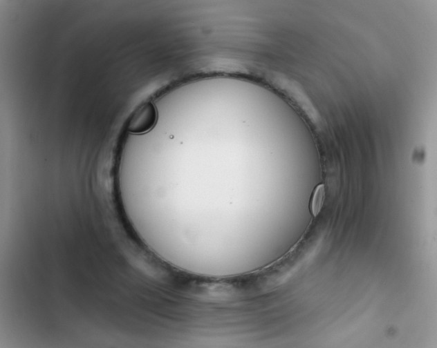 X0000102530395200808221910