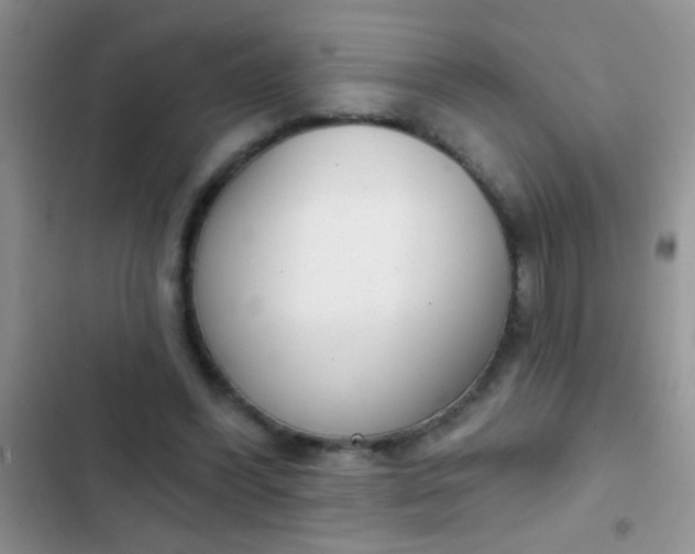 X0000102530396200808221910