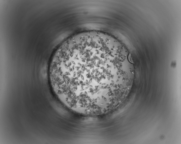 X0000102530398200808221910