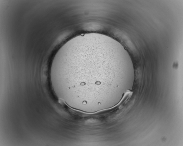 X0000102530400200808221910