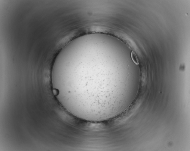 X0000102530401200808221910