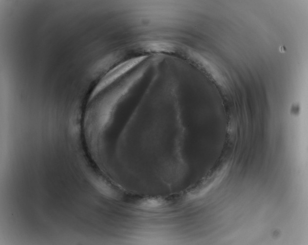 X0000102530402200808221910