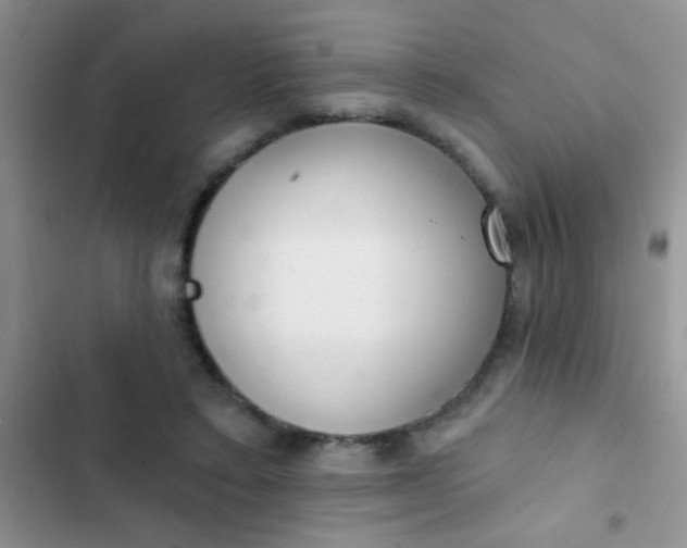 X0000102530403200808221910