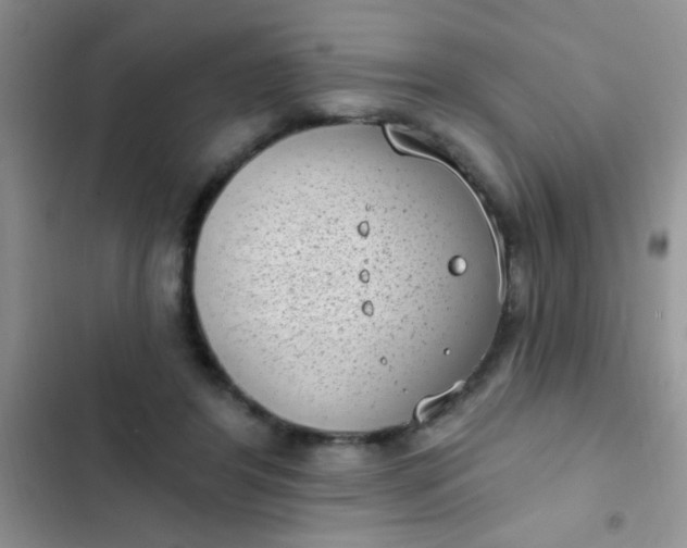 X0000102530404200808221910