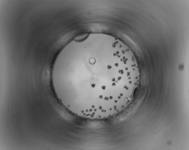 X0000102530405200808221910