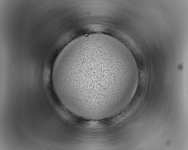 X0000102530406200808221910