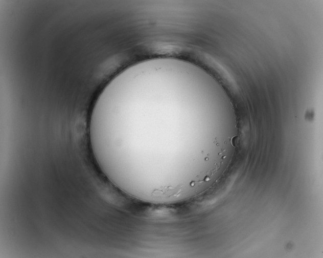 X0000102530407200808221910