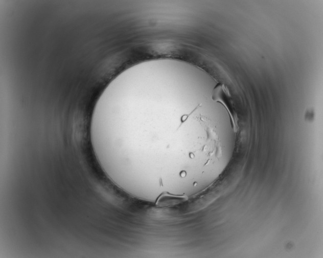 X0000102530408200808221910