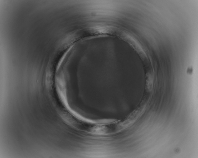 X0000102530410200808221910