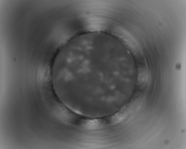 X0000102530411200808221910