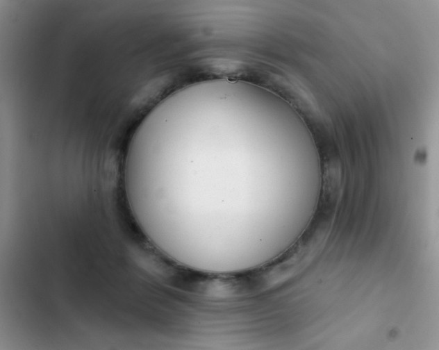 X0000102530412200808221910