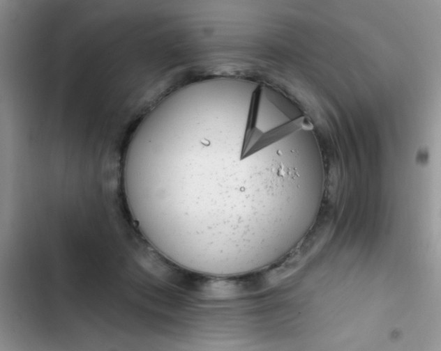 X0000102530413200808221910