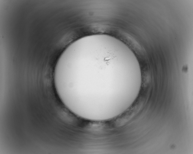 X0000102530414200808221910