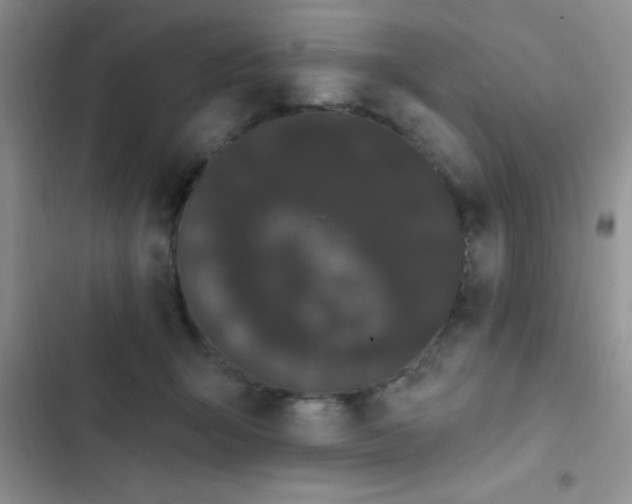 X0000102530415200808221910