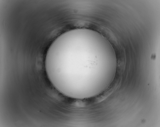 X0000102530416200808221910