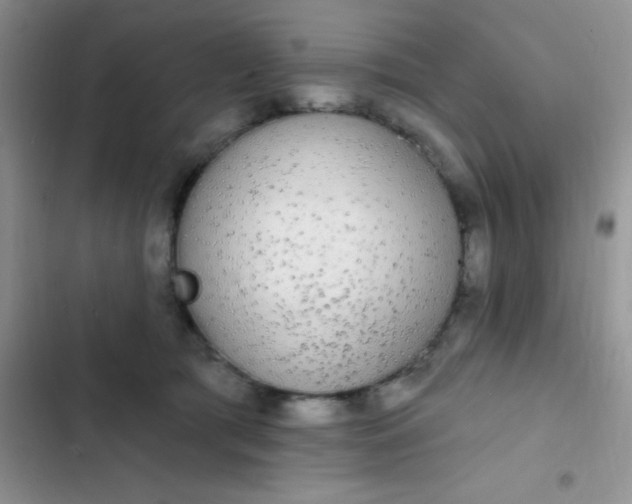 X0000102530417200808221910