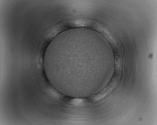 X0000102530418200808221910