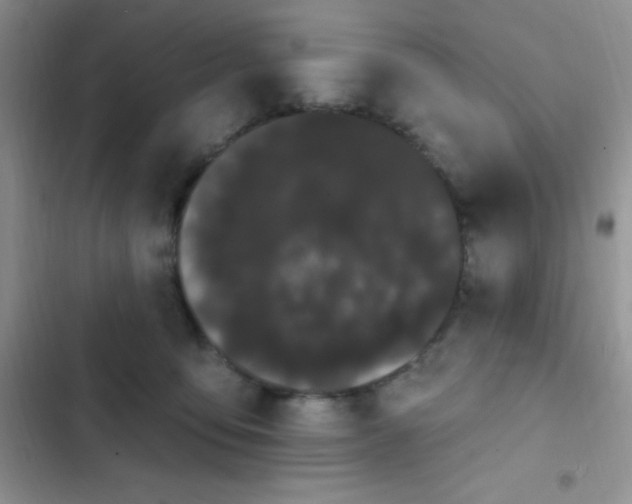 X0000102530419200808221910