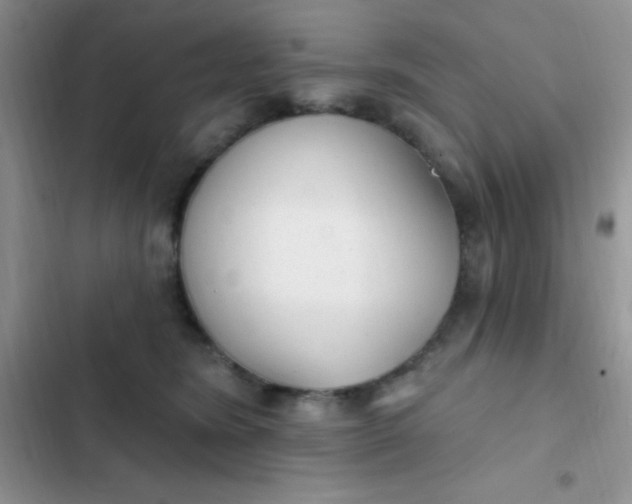 X0000102530420200808221910